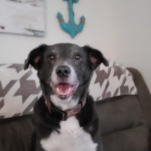 Meet your Posher, Lucas